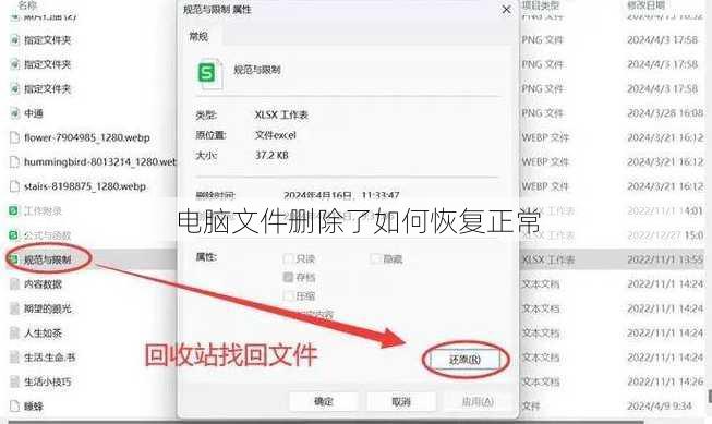 电脑文件删除了如何恢复正常