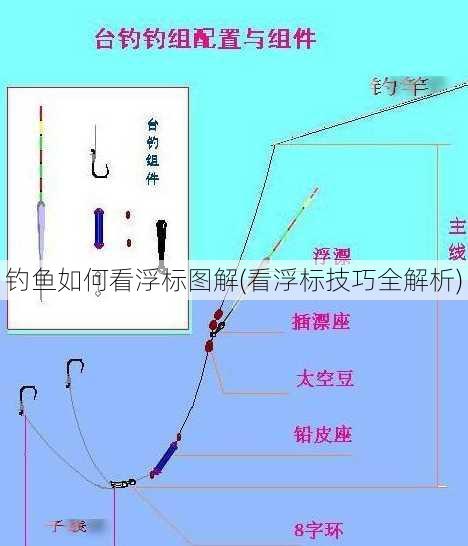 钓鱼如何看浮标图解(看浮标技巧全解析)