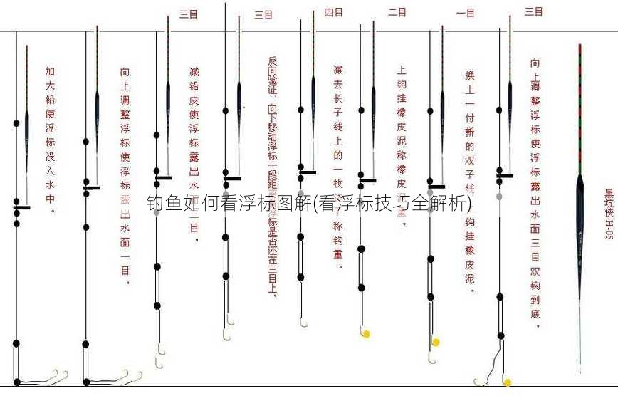 钓鱼如何看浮标图解(看浮标技巧全解析)