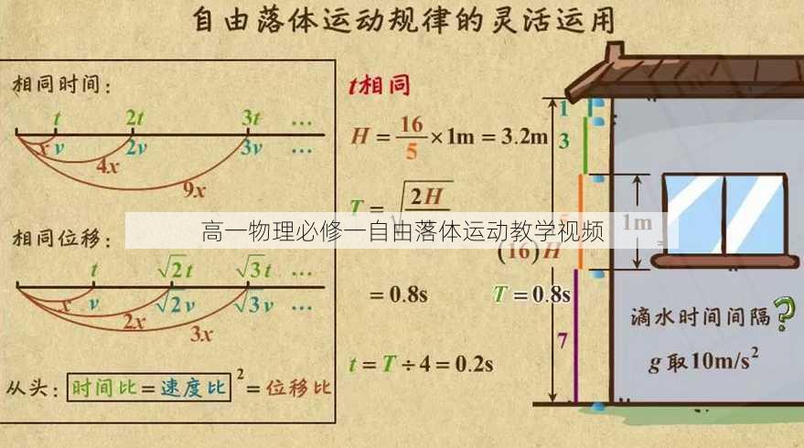 高一物理必修一自由落体运动教学视频