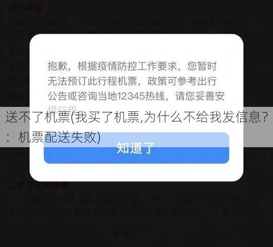 送不了机票(我买了机票,为什么不给我发信息？：机票配送失败)