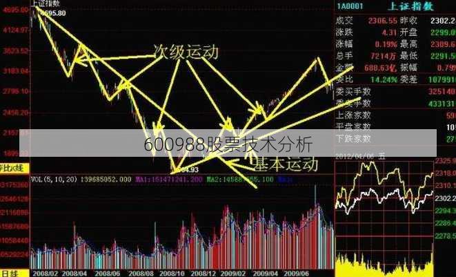 600988股票技术分析