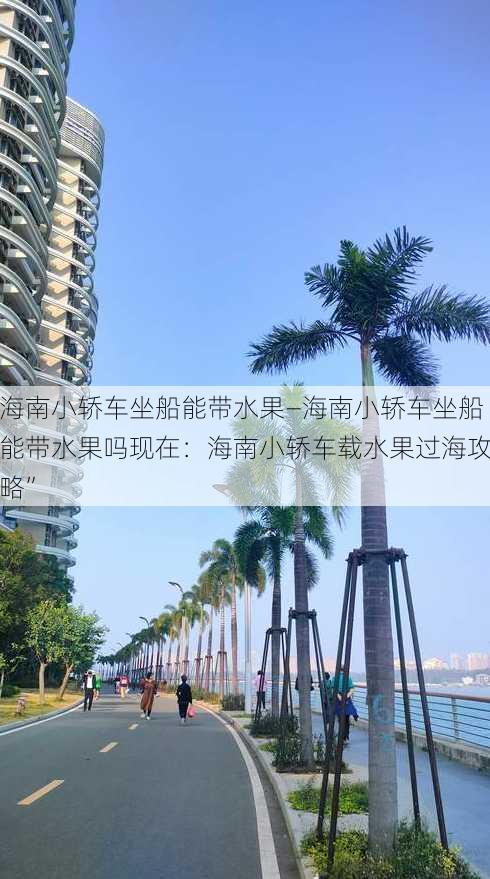 海南小轿车坐船能带水果—海南小轿车坐船能带水果吗现在：海南小轿车载水果过海攻略”