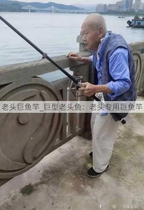 老头巨鱼竿_巨型老头鱼：老头专用巨鱼竿