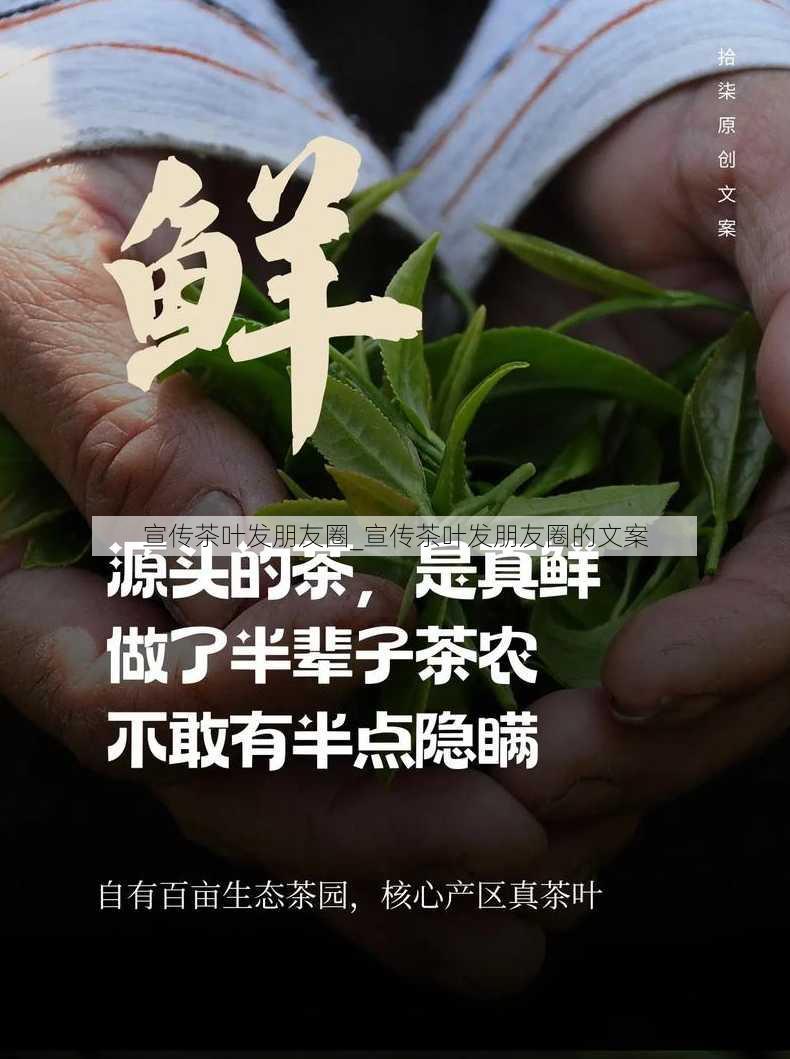 宣传茶叶发朋友圈_宣传茶叶发朋友圈的文案