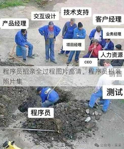 程序员招亲全过程图片高清、程序员招亲照片集