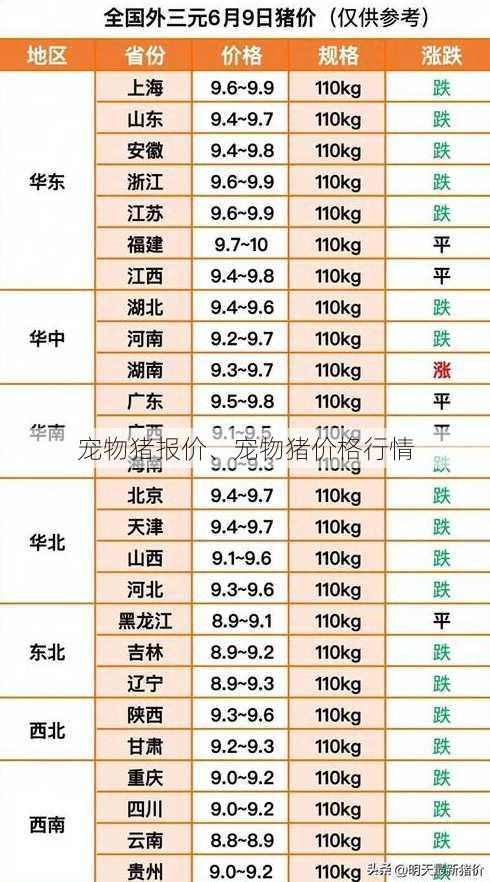 宠物猪报价、宠物猪价格行情