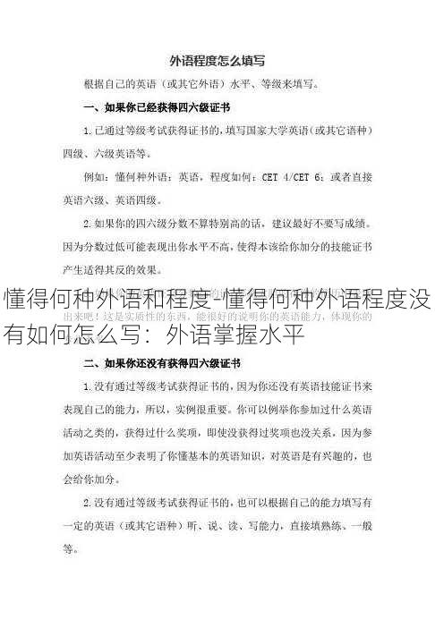 懂得何种外语和程度-懂得何种外语程度没有如何怎么写：外语掌握水平