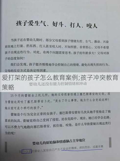 爱打架的孩子怎么教育案例;孩子冲突教育策略