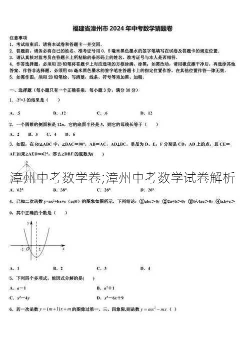 漳州中考数学卷;漳州中考数学试卷解析