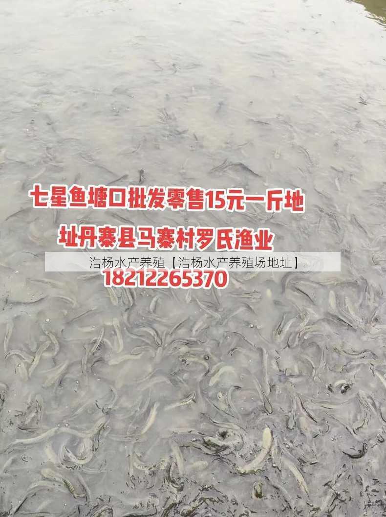 浩杨水产养殖【浩杨水产养殖场地址】