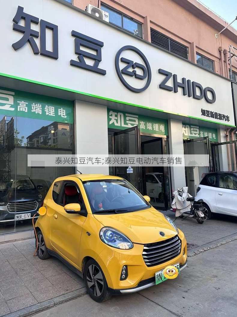 泰兴知豆汽车;泰兴知豆电动汽车销售