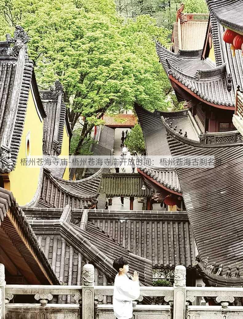 梧州苍海寺庙-梧州苍海寺庙开放时间：梧州苍海古刹名胜