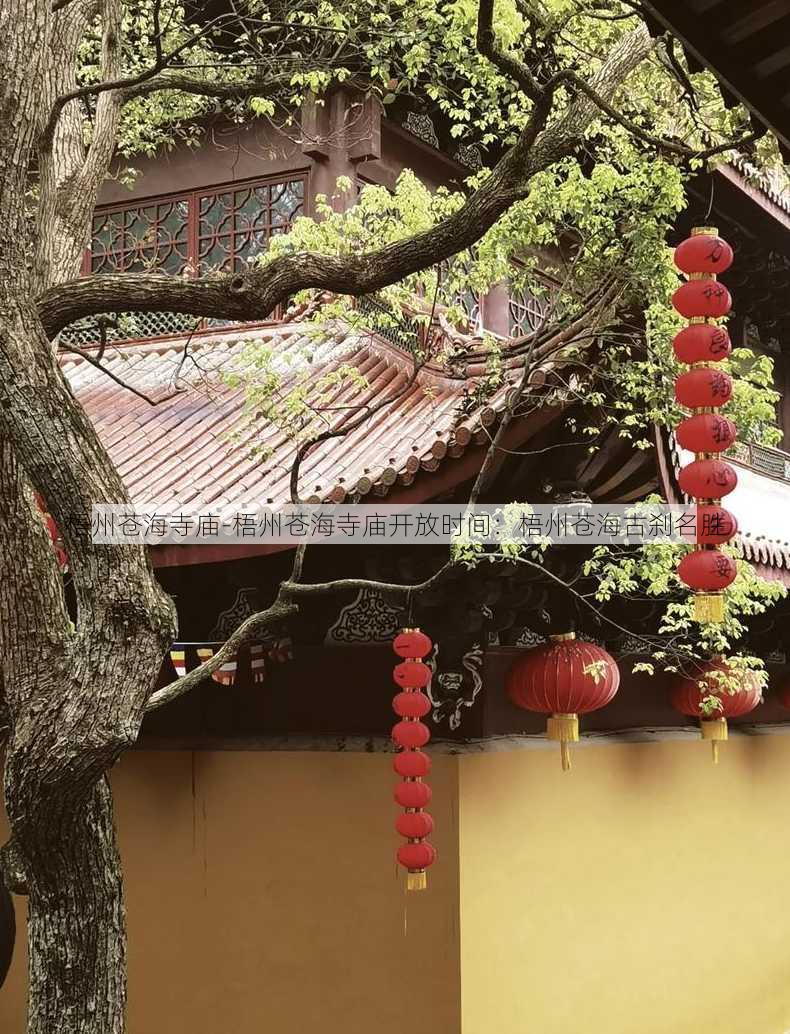 梧州苍海寺庙-梧州苍海寺庙开放时间：梧州苍海古刹名胜