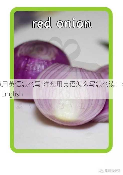 洋葱用英语怎么写;洋葱用英语怎么写怎么读：onion in English