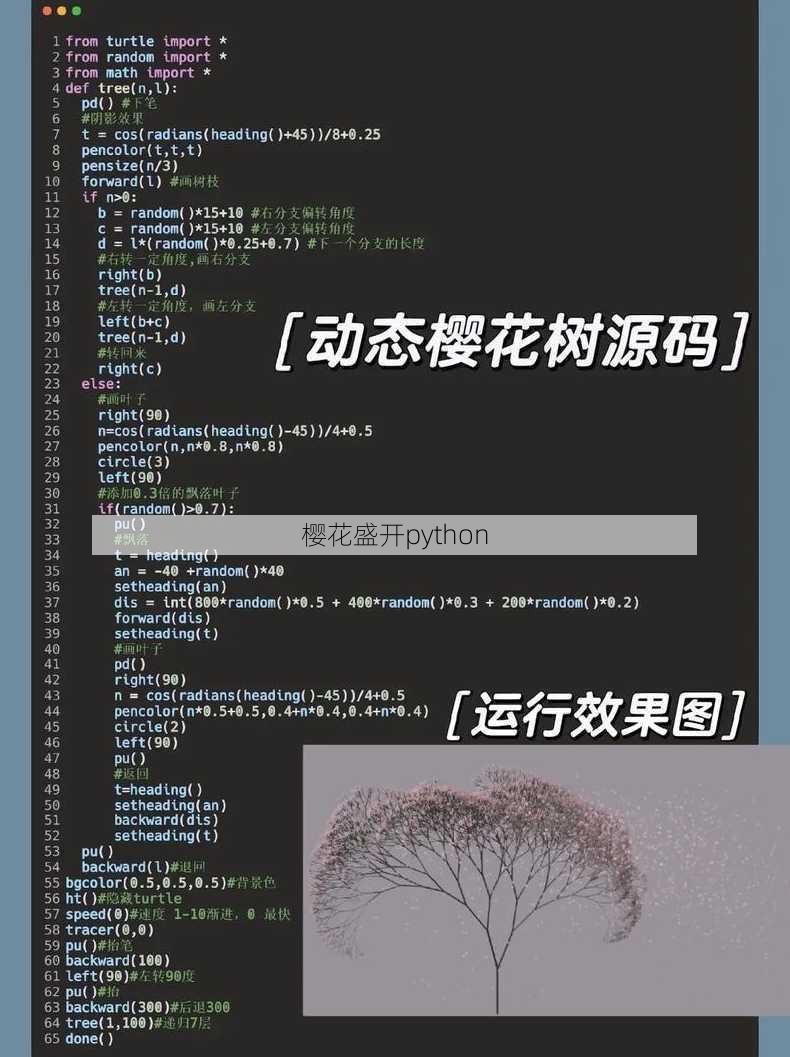 樱花盛开python