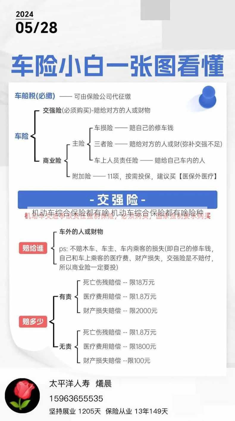 机动车综合保险都有啥 机动车综合保险都有啥险种