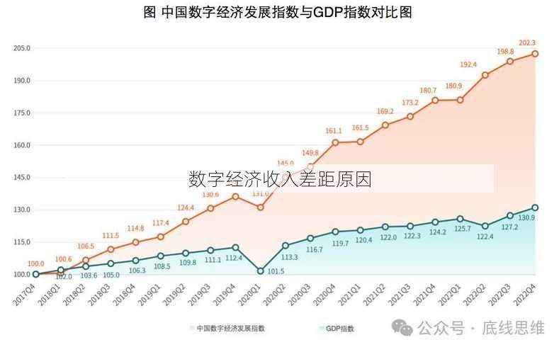 数字经济收入差距原因