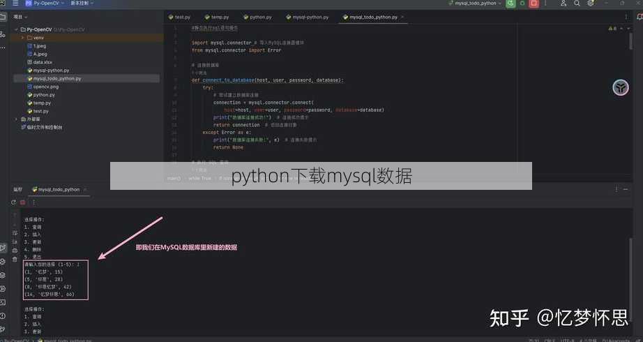 python下载mysql数据