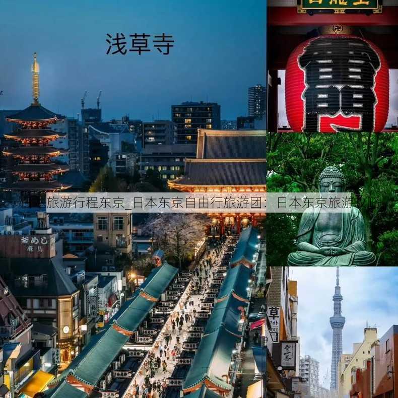 日本旅游行程东京_日本东京自由行旅游团：日本东京旅游攻略