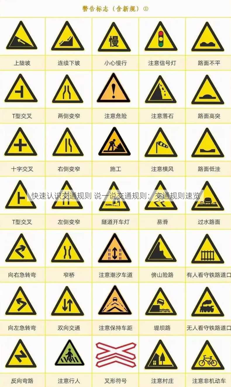 快速认识交通规则 说一说交通规则：交通规则速览