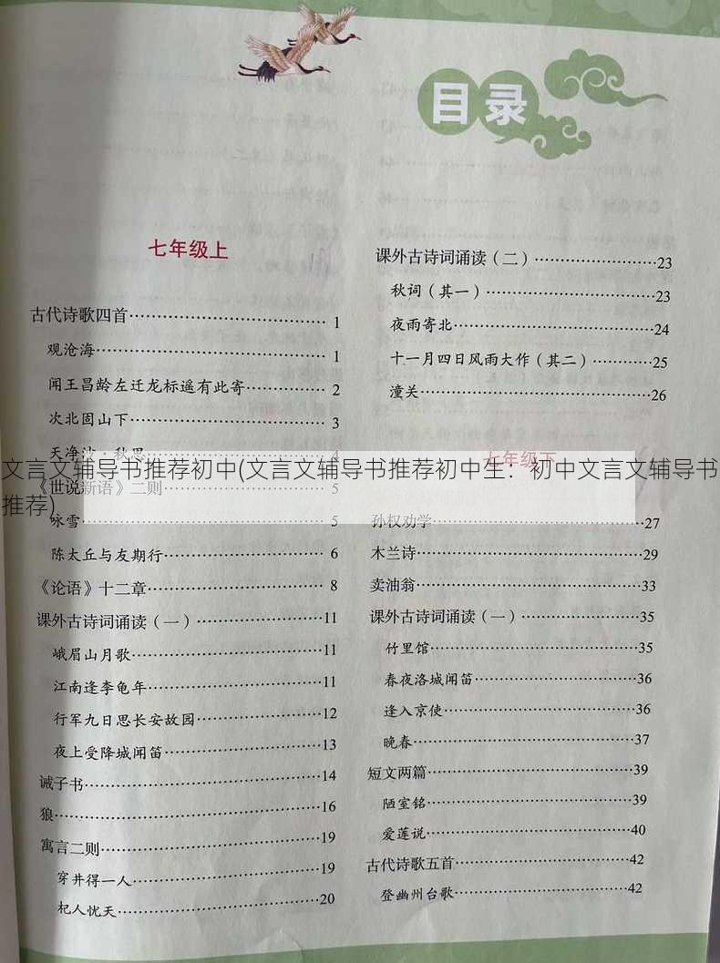 文言文辅导书推荐初中(文言文辅导书推荐初中生：初中文言文辅导书推荐)