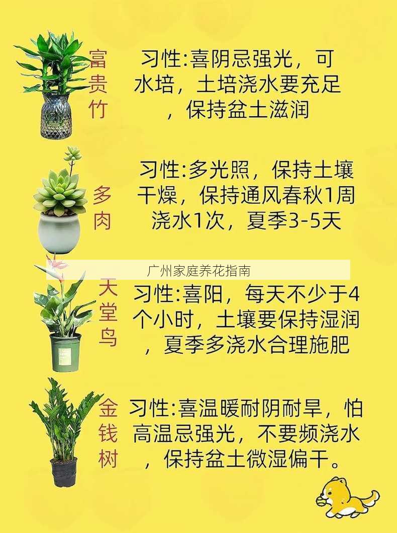 广州家庭养花指南