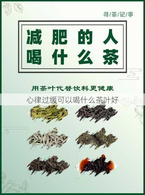 心律过缓可以喝什么茶叶好