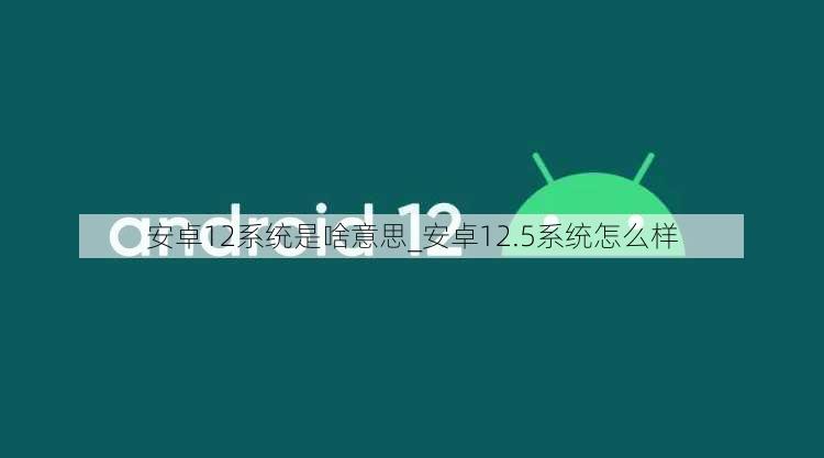 安卓12系统是啥意思_安卓12.5系统怎么样