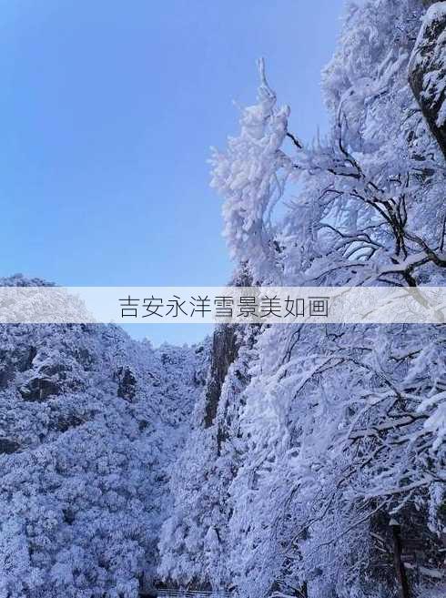 吉安永洋雪景美如画