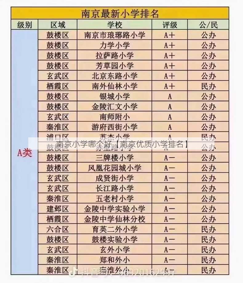 南京小学哪个好【南京优质小学排名】