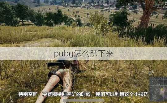 pubg怎么趴下来