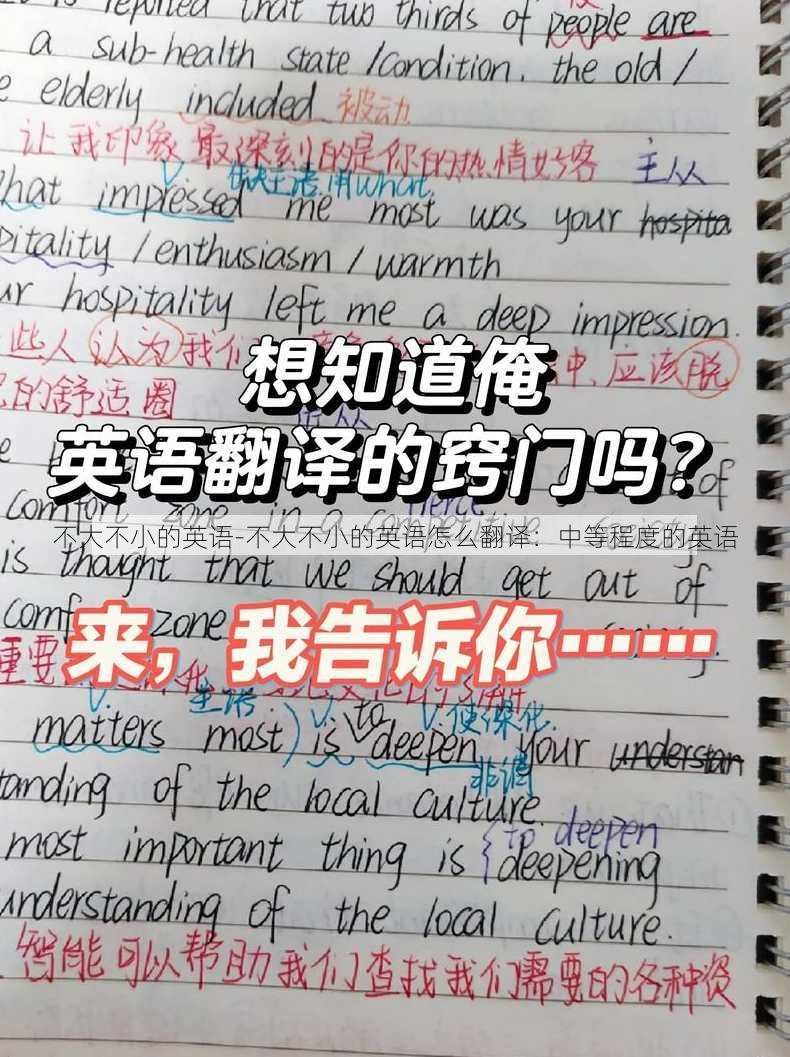 不大不小的英语-不大不小的英语怎么翻译：中等程度的英语