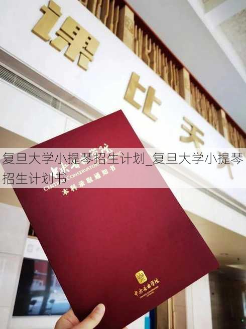 复旦大学小提琴招生计划_复旦大学小提琴招生计划书