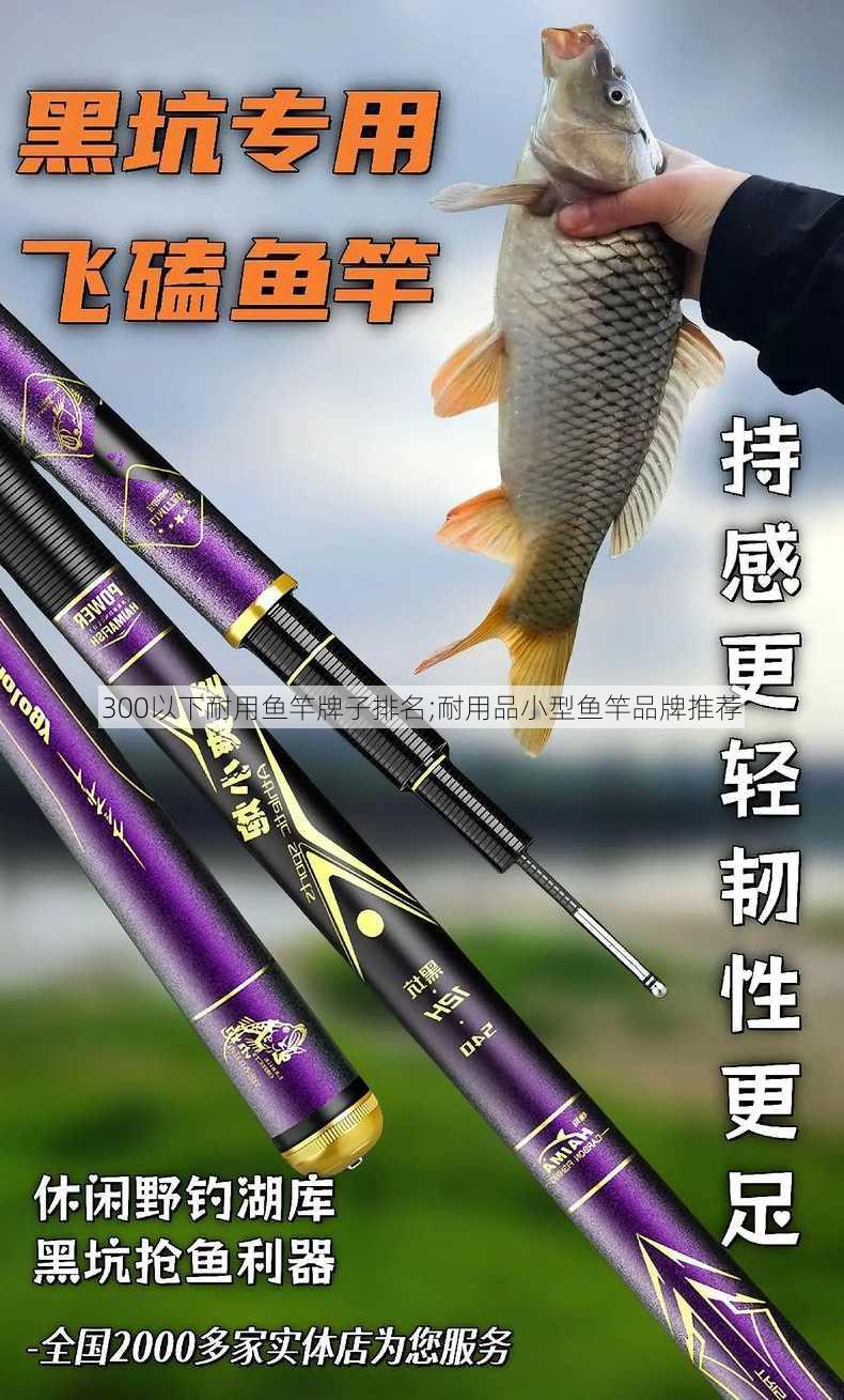 300以下耐用鱼竿牌子排名;耐用品小型鱼竿品牌推荐