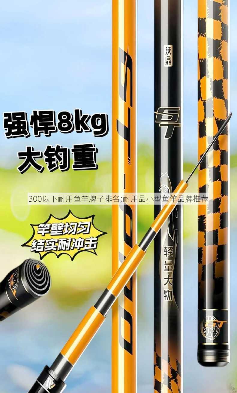 300以下耐用鱼竿牌子排名;耐用品小型鱼竿品牌推荐