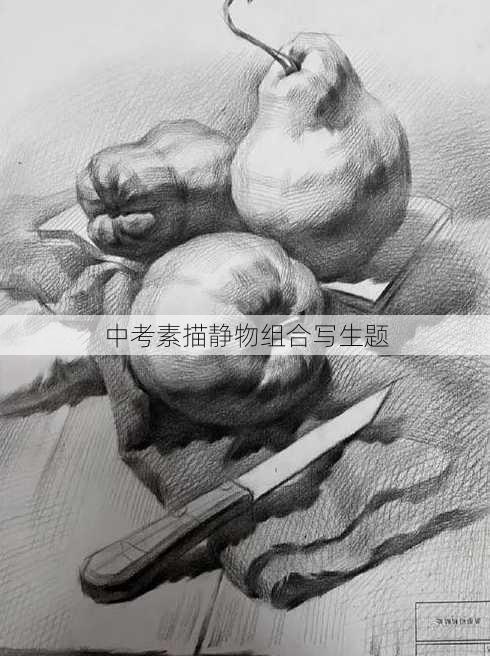 中考素描静物组合写生题