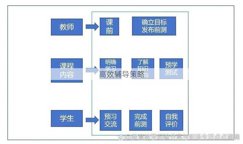 高效辅导策略