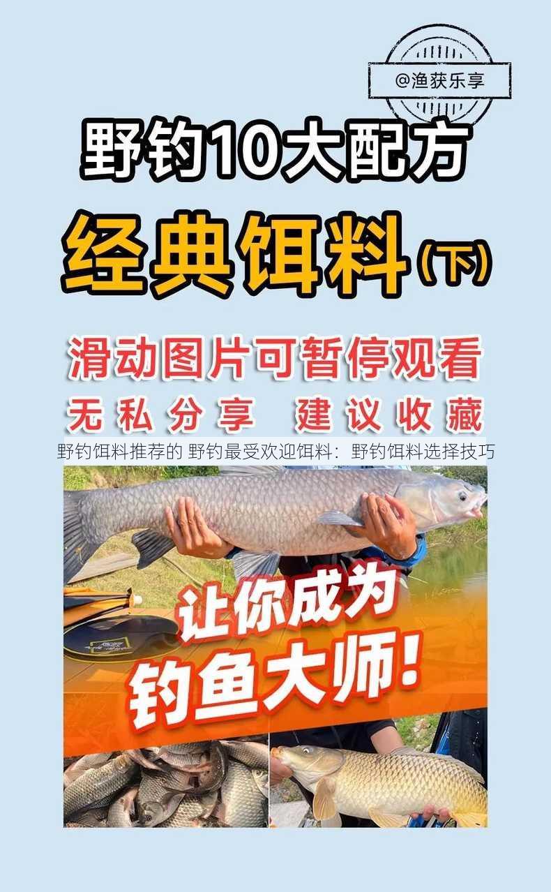 野钓饵料推荐的 野钓最受欢迎饵料：野钓饵料选择技巧