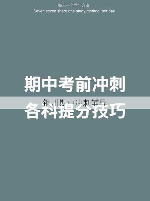 铜川期中冲刺辅导