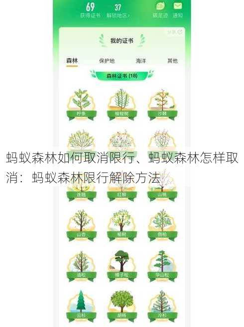 蚂蚁森林如何取消限行、蚂蚁森林怎样取消：蚂蚁森林限行解除方法