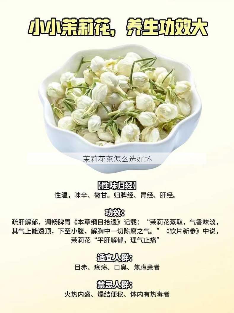 茉莉花茶怎么选好坏