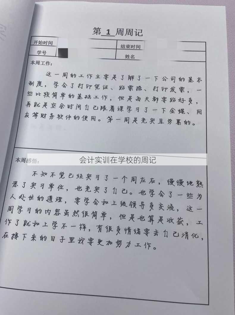 会计实训在学校的周记