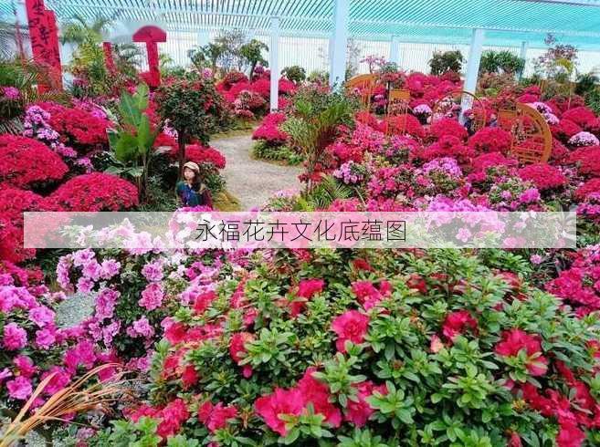 永福花卉文化底蕴图