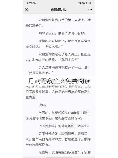 丹武无敌全文免费阅读