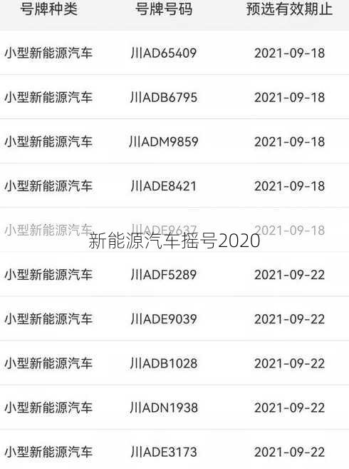 新能源汽车摇号2020