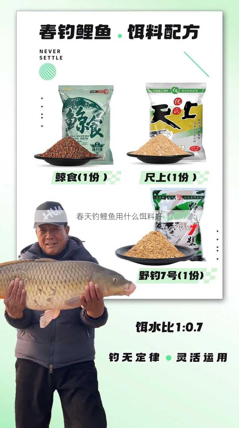 春天钓鲤鱼用什么饵料好