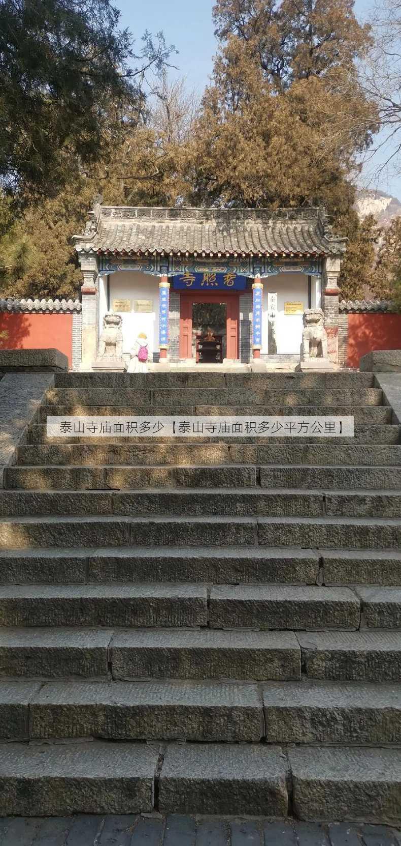 泰山寺庙面积多少【泰山寺庙面积多少平方公里】