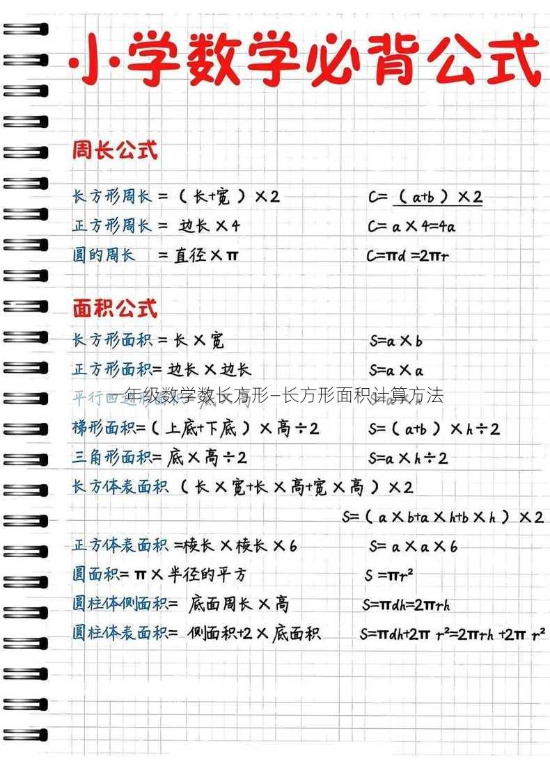 一年级数学数长方形—长方形面积计算方法