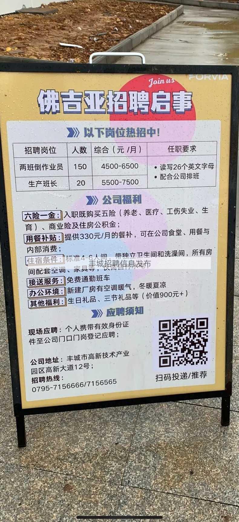 丰城招聘信息发布